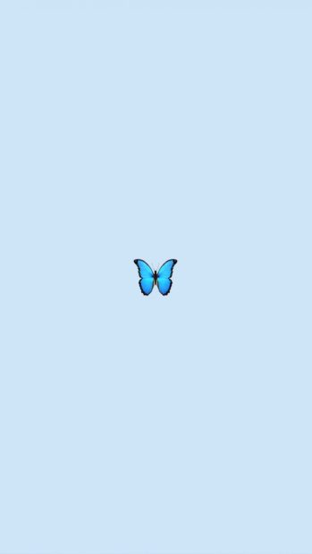 Blue Cute Butterfly Backgrounds.