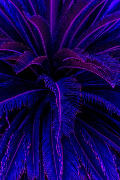 Blue Iphone Purple Aesthetic Background.