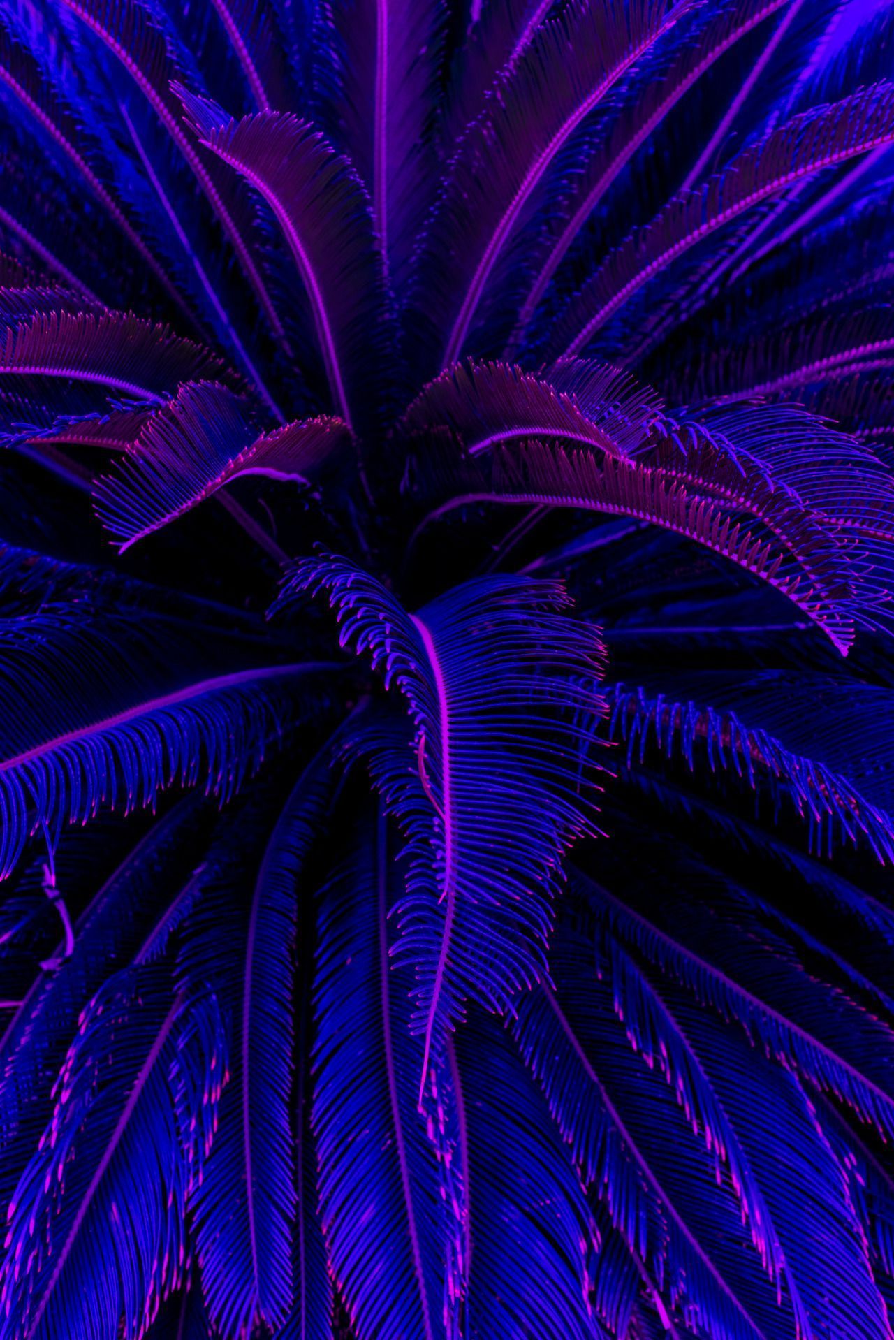 Iphone Purple Aesthetic Wallpapers  PixelsTalkNet