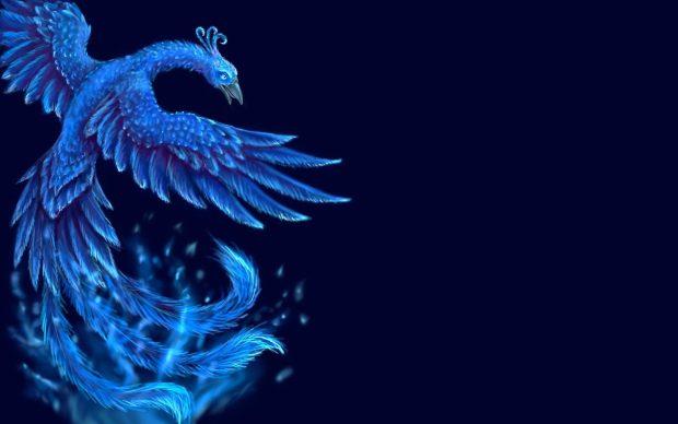 Blue Phoenix Wallpaper HD.