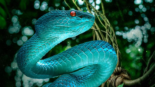 Blue Snake Wallpaper HD.