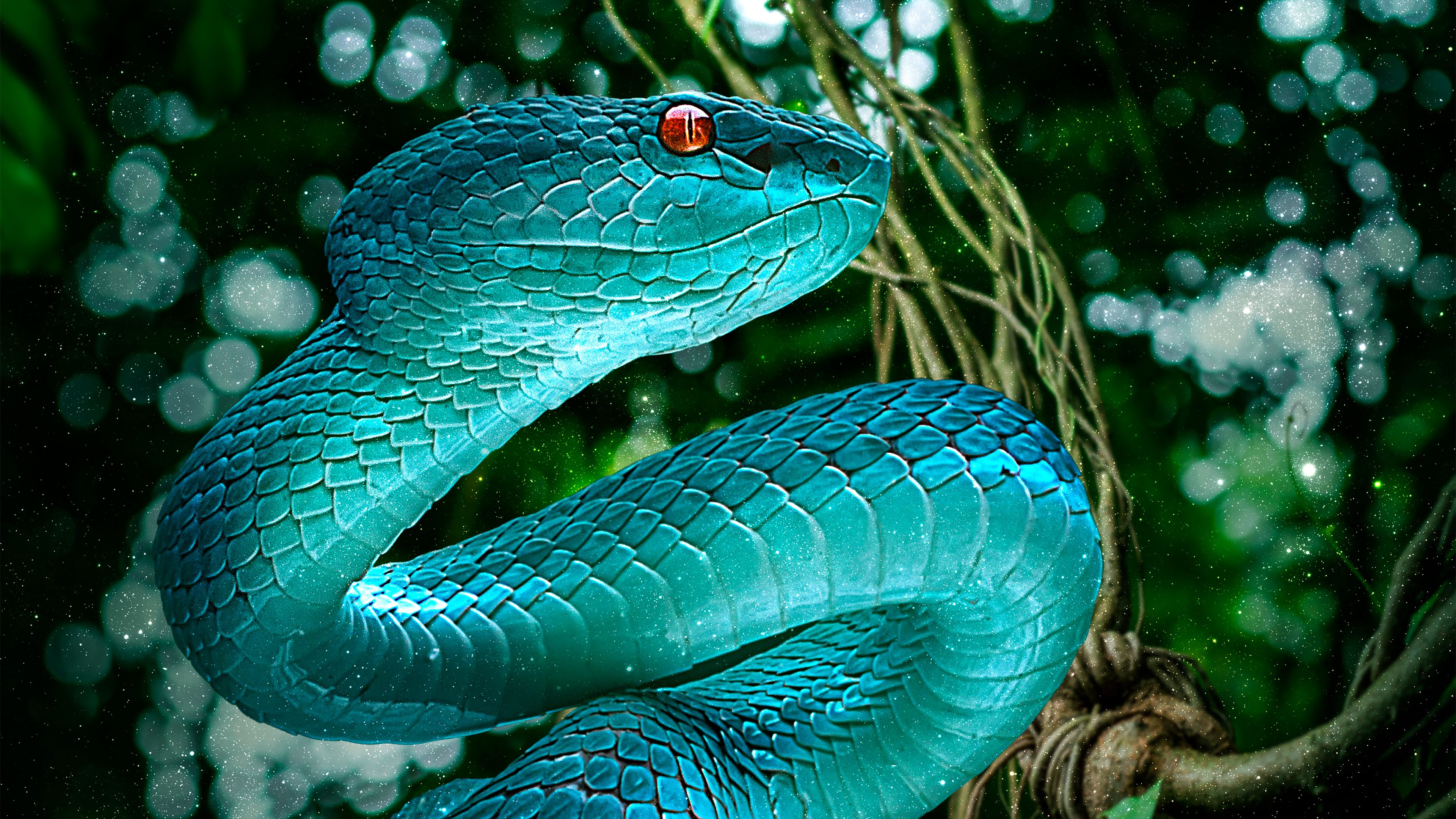 Red Snake Image  HD Wallpapers