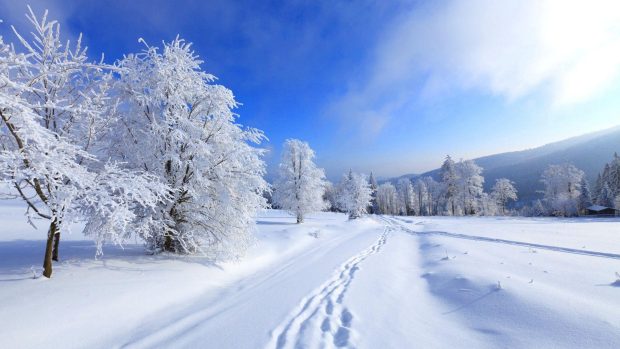 Blue Winter Background.