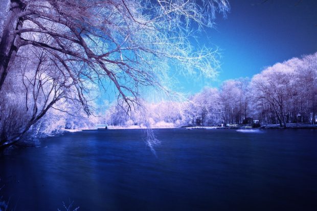 Blue Winter Image.