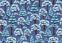 Blue Winter Wallpaper HD Free download.