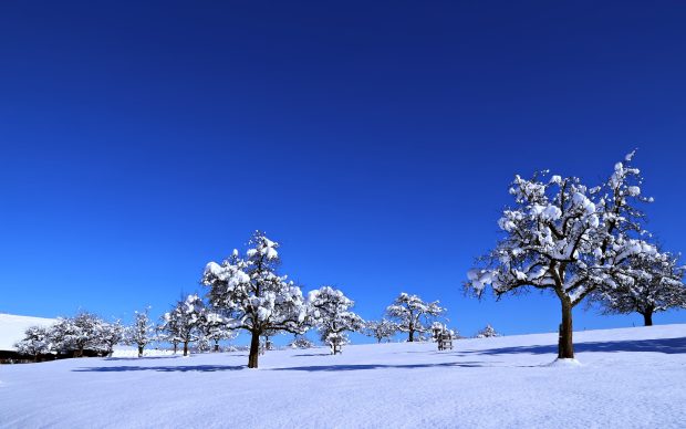 Blue Winter Wallpaper High Resolution.