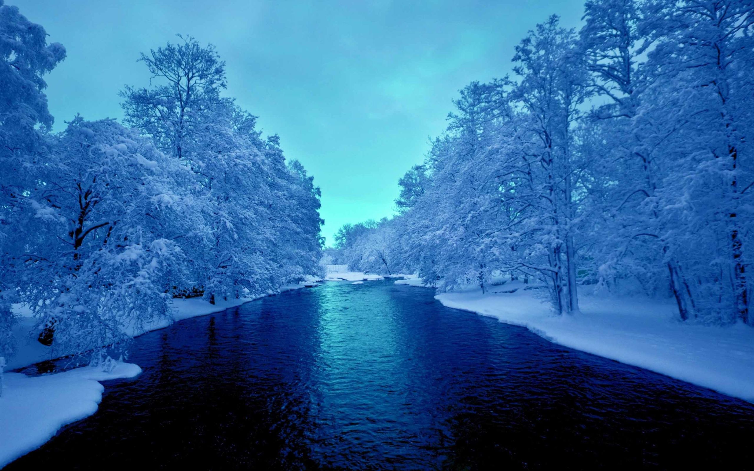 Blue Winter Wallpapers Desktop Free Download 