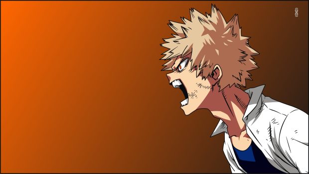 Boku No Hero Academia HD Wallpaper.