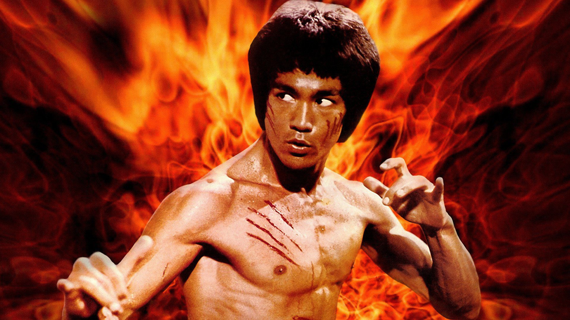 BRUCE LEE THE DRAGON  Martial Arts  Sports Background Wallpapers on  Desktop Nexus Image 875571
