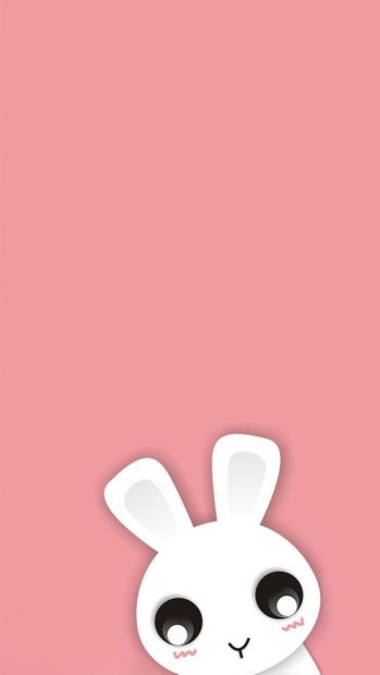 Bunny Cute Wallpaper For Samsung HD.