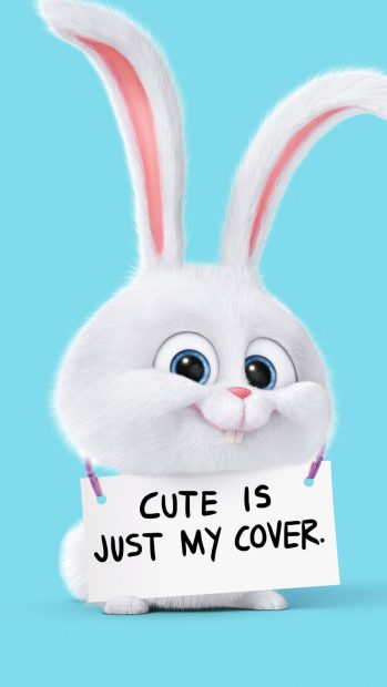 Bunny Wallpaper Cute iPhone 11.