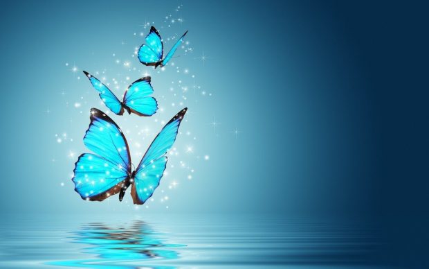 Butterflies HD Wallpaper Free download.