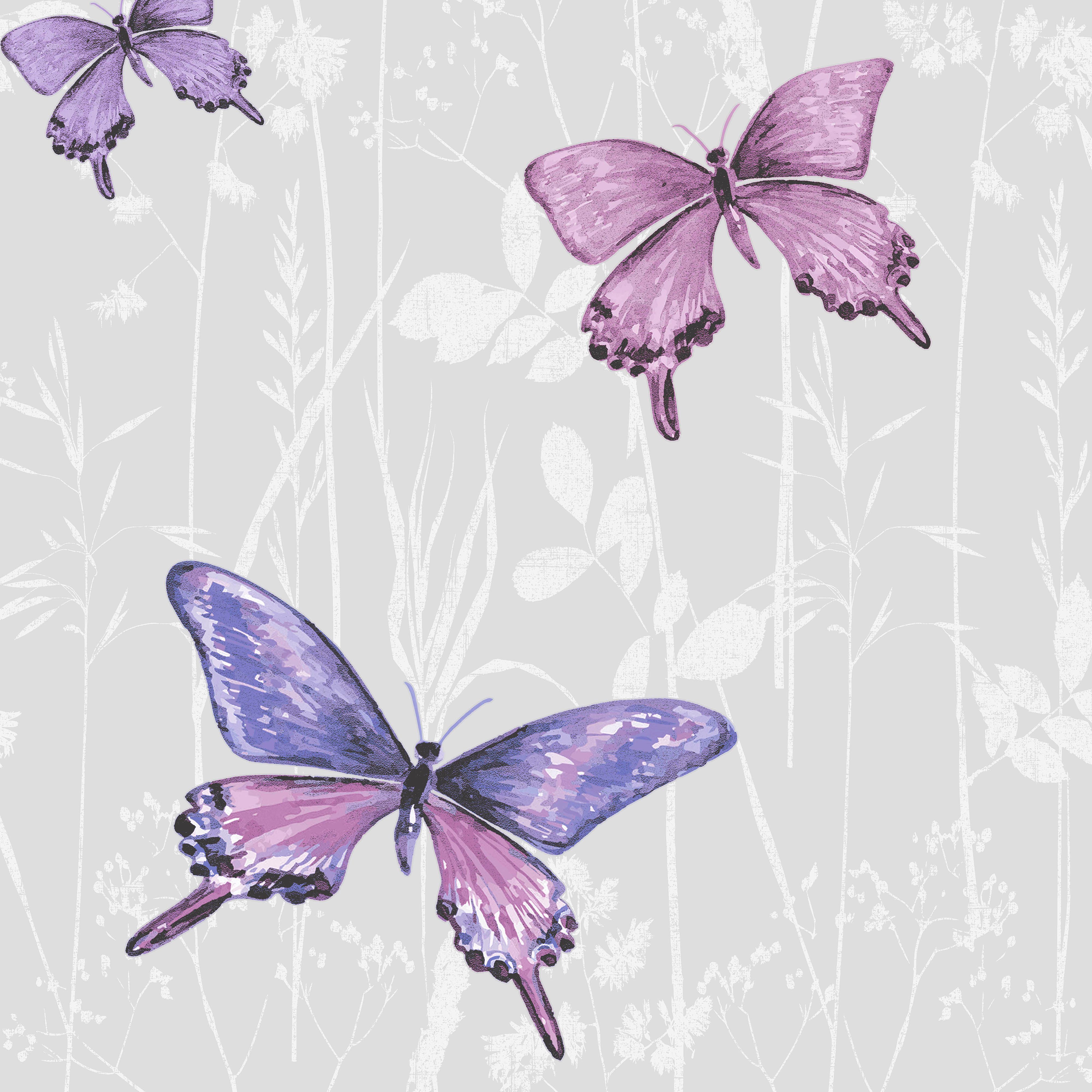 Purple Butterflies Wallpapers  Top Free Purple Butterflies Backgrounds   WallpaperAccess