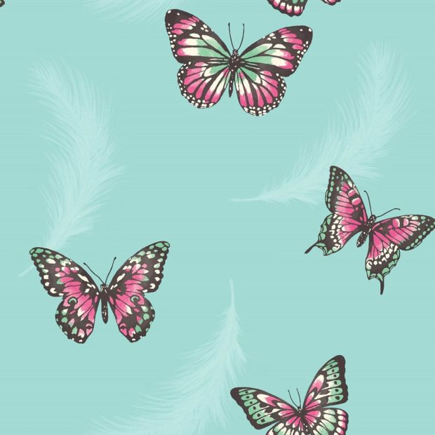 Butterflies Wallpaper HD Free download.