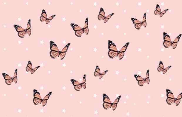 Butterfly Aesthetic Desktop Wallpaper Pink Color.