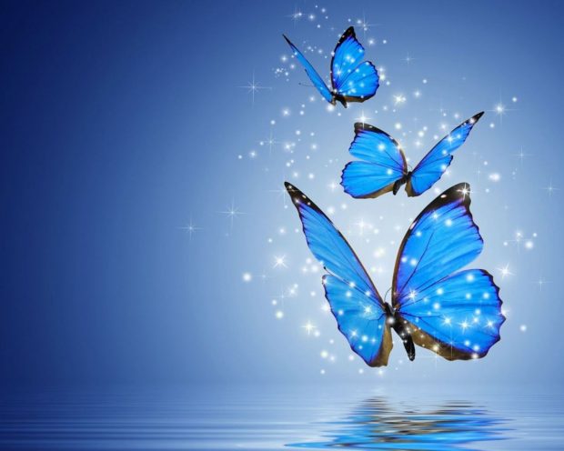 Butterfly Aesthetic Wallpaper Blue Color.