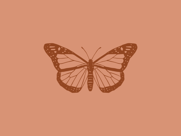 Butterfly Aesthetic Wallpaper Brown.
