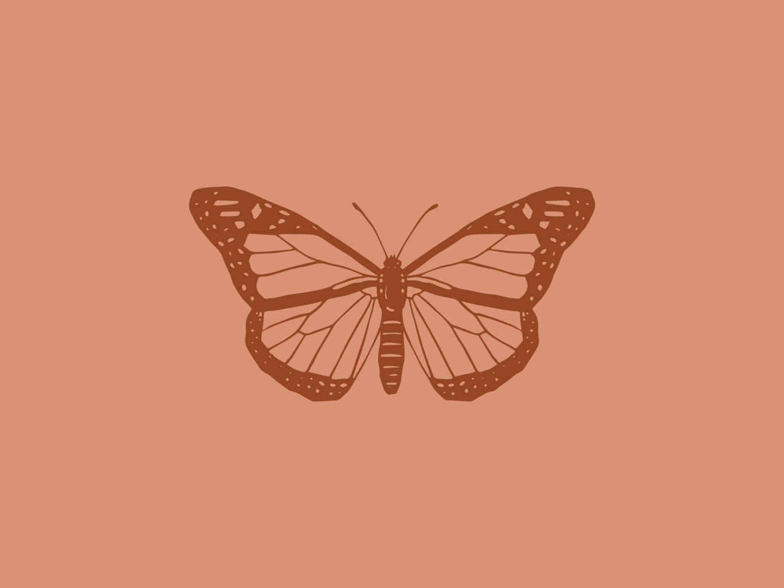 Butterfly Aesthetic Wallpapers HD 