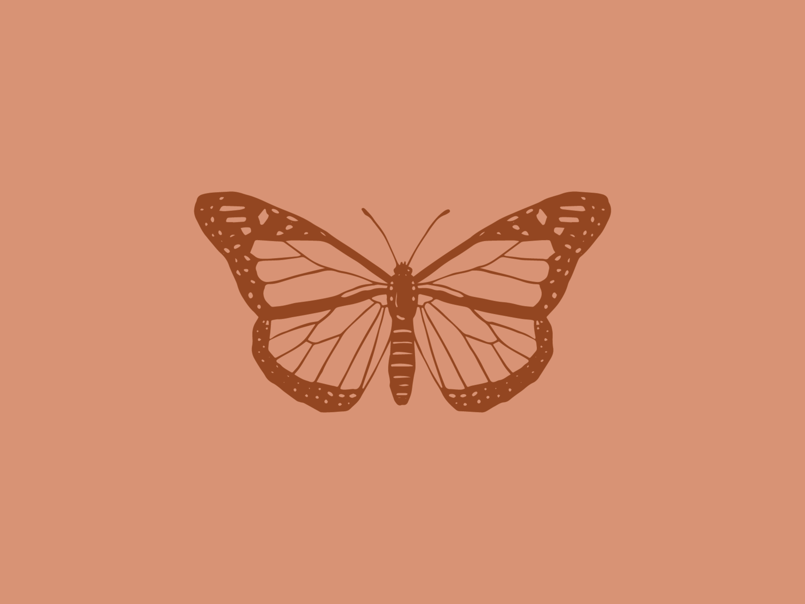 HD butterfly air wallpapers  Peakpx