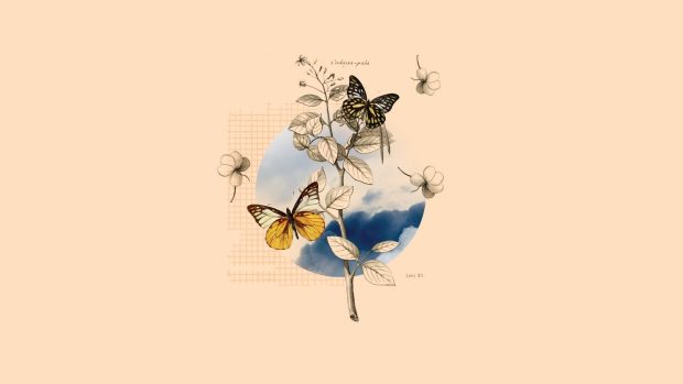 Butterfly Aesthetic Wallpaper Desktop.