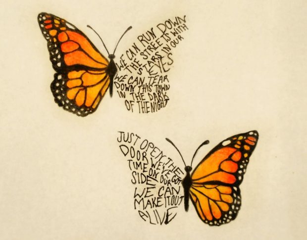 Butterfly Aesthetic Wallpaper Double Butterfly.