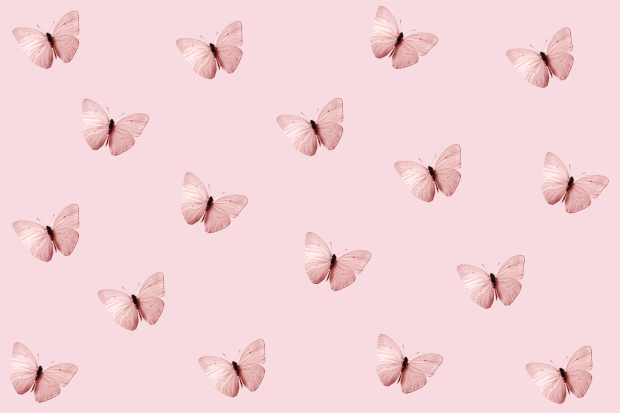 Butterfly Aesthetic Wallpaper Free Download Pink Color.