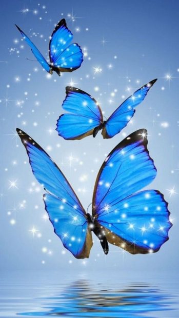 Butterfly Blue Cute Backgrounds.