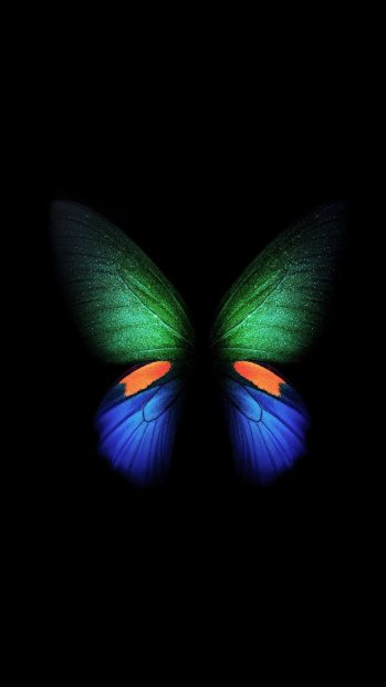 Butterfly Samsung Wallpaper 4K HD.