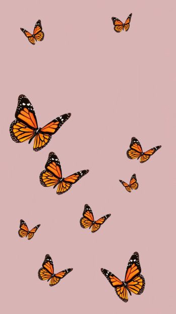 Butterfly Wallpaper Aesthetic Background.