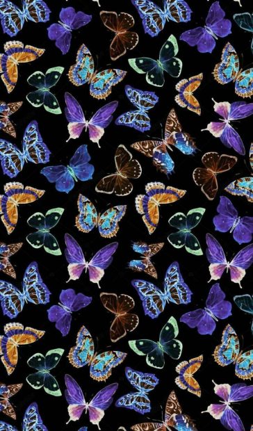 Butterfly Wallpaper Aesthetic HD Wallpaper.