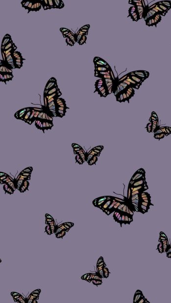 Butterfly Wallpaper Aesthetic Image.
