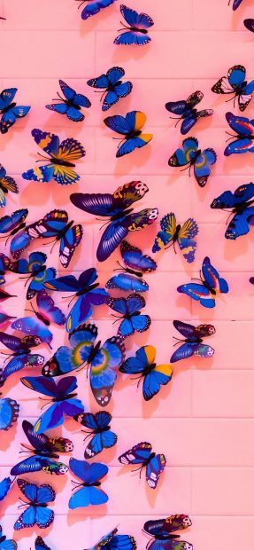 Butterfly Wallpaper Aesthetic Wallpaper Free Download.