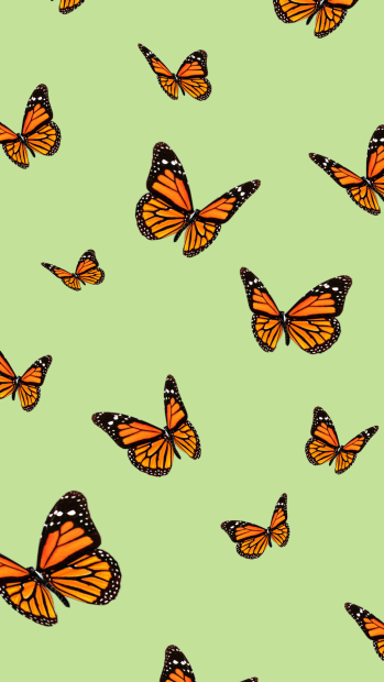 Butterfly Wallpaper Aesthetic Wallpaper HD.
