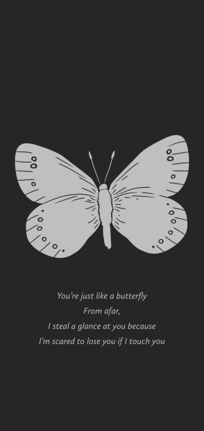 Butterfly Wallpaper Aesthetic Wallpaper HD Black And White.