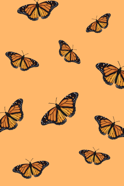 Butterfly Wallpaper Aesthetic Wallpaper Orange.