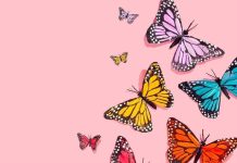 Butterfly Wallpaper Aesthetic Wallpaper Pink.