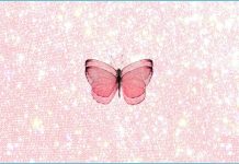 Butterfly Wallpapers Free Download.
