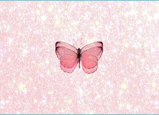 Butterfly Wallpapers Free Download.