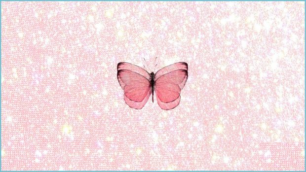 Butterfly Wallpapers Free Download.