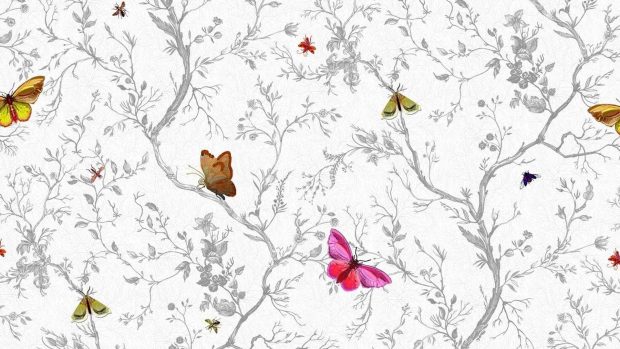 Butterfly Wide Screen Background.