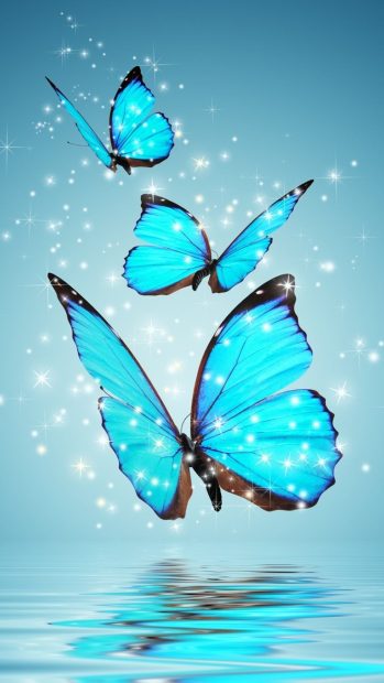 Butterfly Wide Screen Background HD.