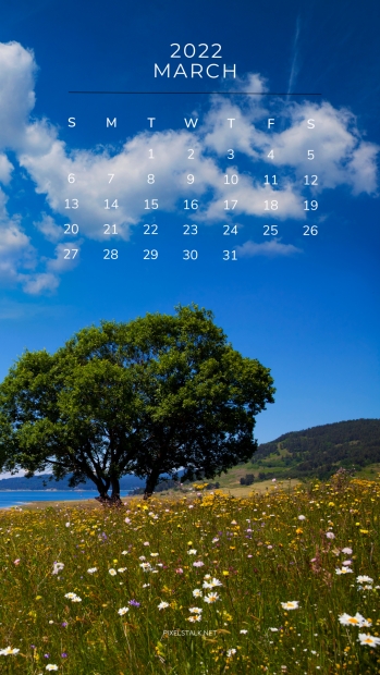 Calendar March 2022 Wallpapers for iPhone.