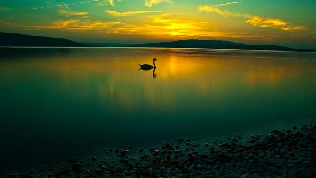 Calming Pictures Free Download.