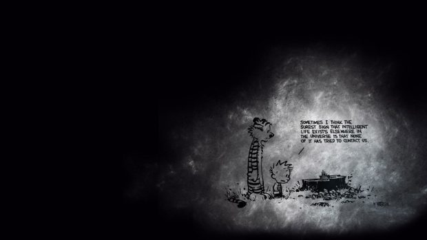 Calvin And Hobbes Pictures.