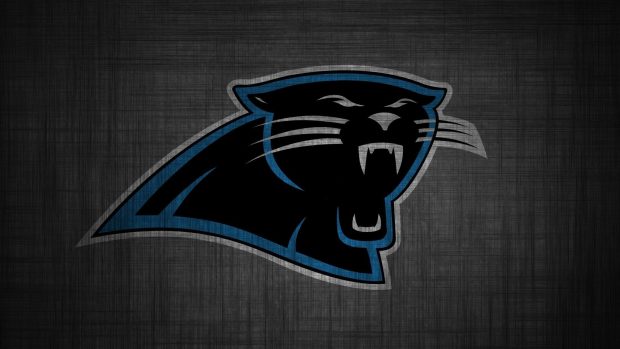 Carolina Panthers HD Wallpaper Computer.