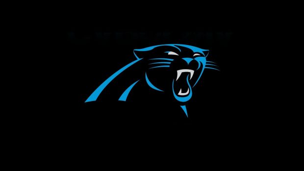 Carolina Panthers Wallpaper Computer.