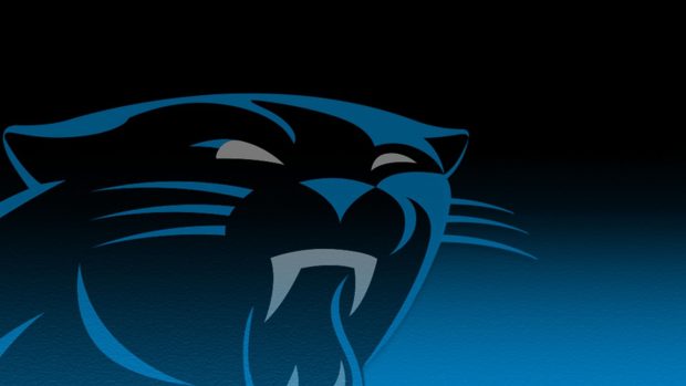 Carolina Panthers Wallpaper HD 1080p.