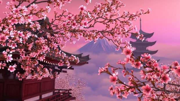 Cherry Blossom Background HD.