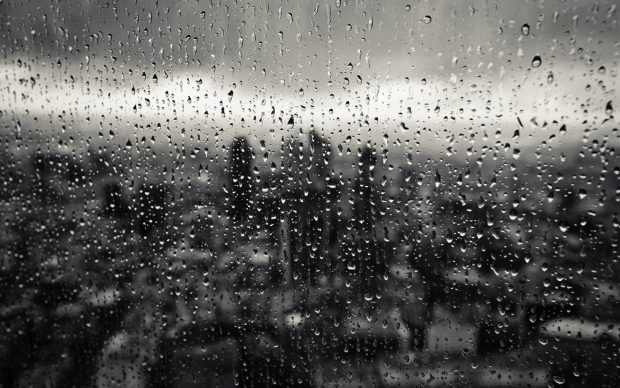 City Rain Wallpaper.