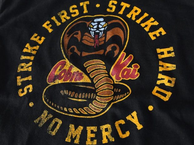 Cobra Kai Wallpaper High Resolution.